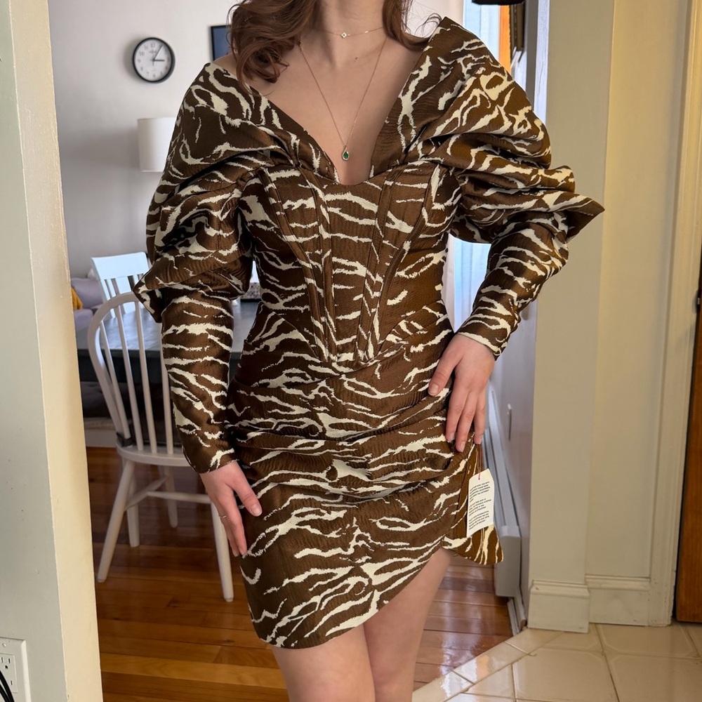 Women’s Brown Zebra-Print V-Neck Mini Dress